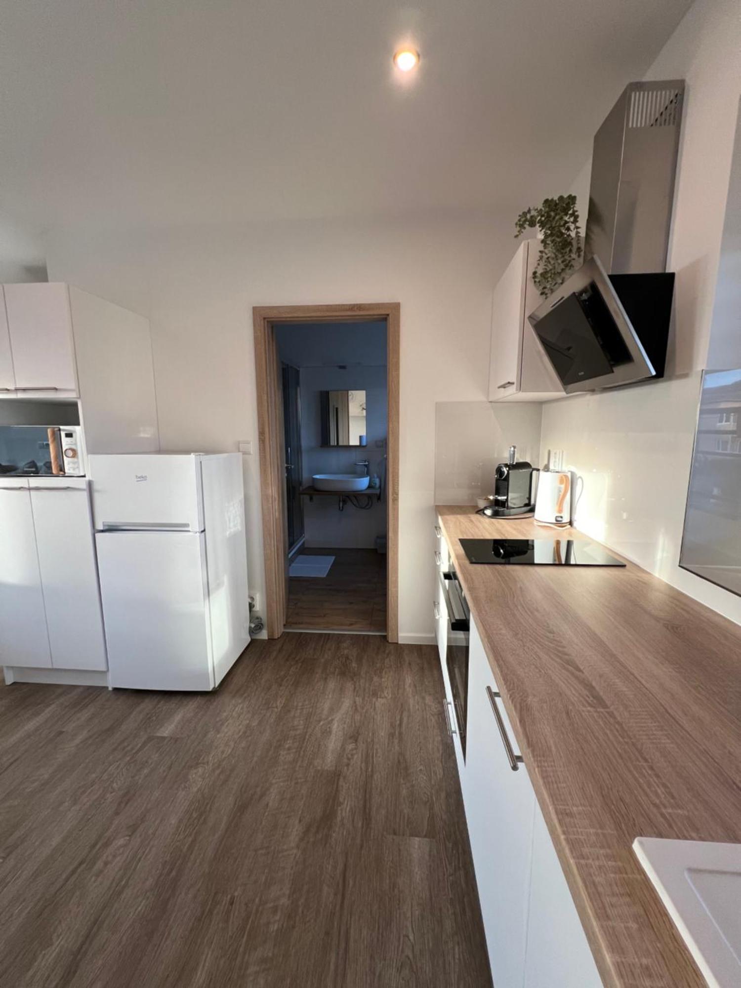 Rk Holzova Apartment *