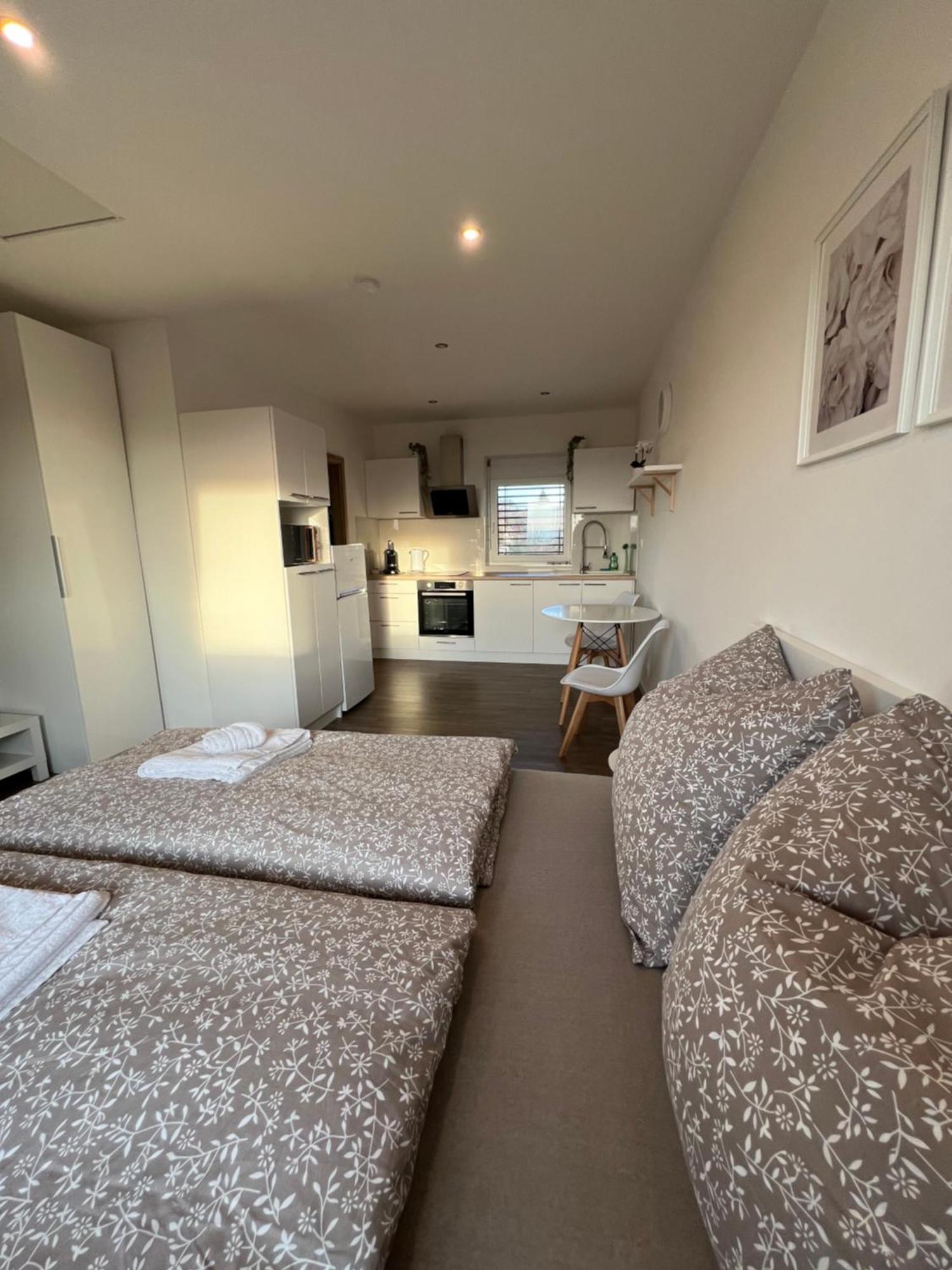 Rk Holzova Apartment Brno